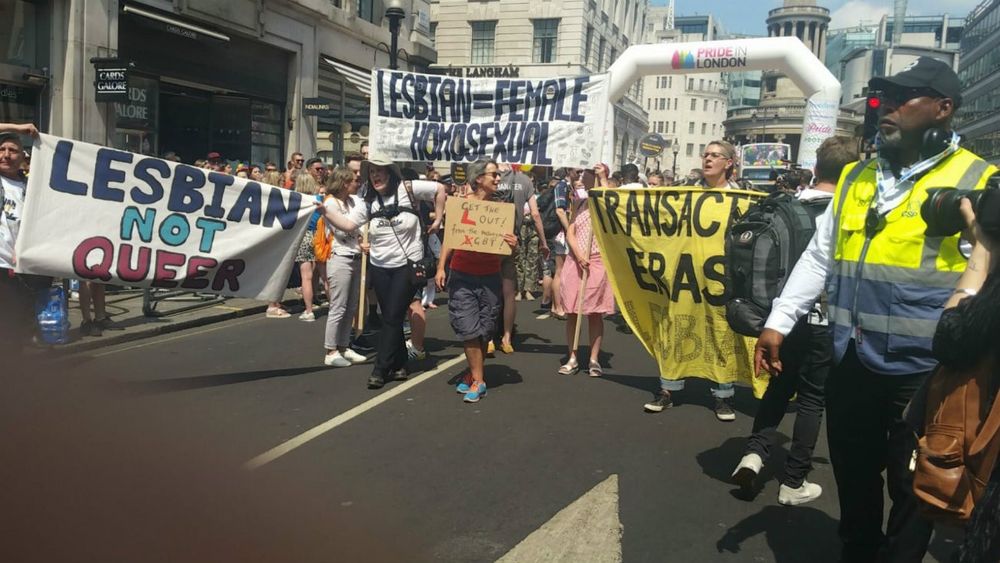 Pancartes "lesbienne et pas queer", "sortez le L", "les transactivistes effacent les lesbiennes".