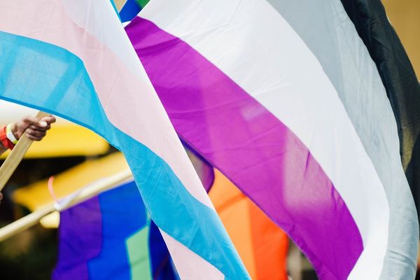 Rhétorique de « l’asexualité n’est pas une maladie » et perspectives anti-psychiatriques