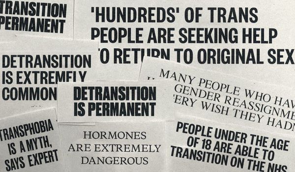 Transphobie dans la communauté des femmes détransitionneuses